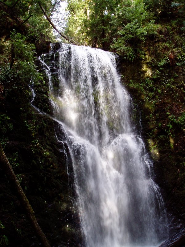 Berry Creek Falls - Big Basin State Park