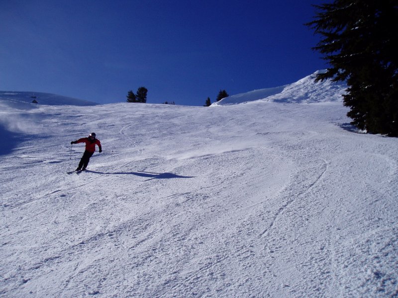 I like to ski