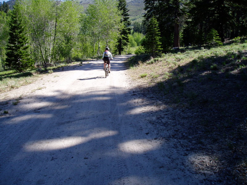 P1010075.JPG