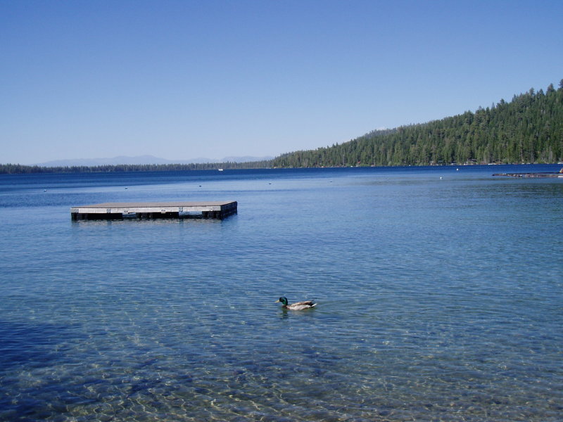 P1010138.JPG