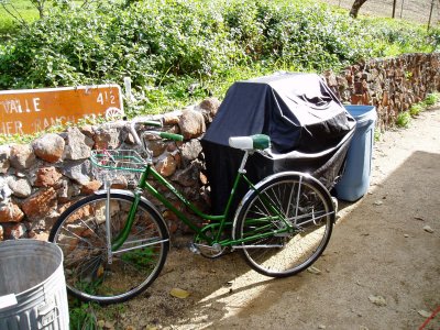 Cathy's 62 Schwinn: all original