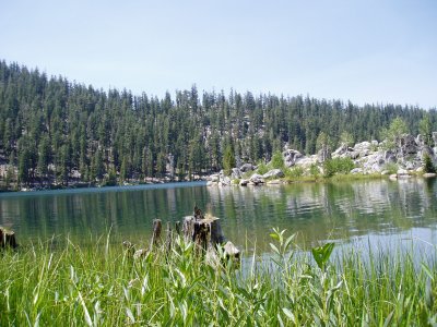 grassy shores - marlette lake