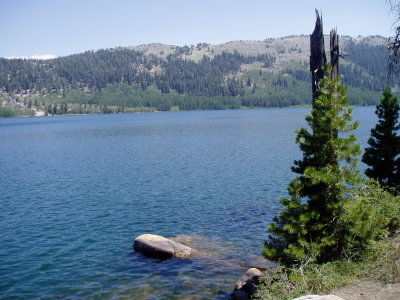 marlette lake's choice swimming spot