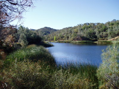 Henry Coe.  Labor Day