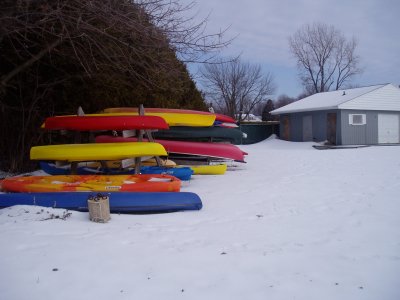 A colorful bunch