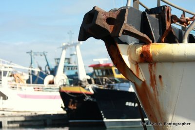 Fremantle Fishing Boats