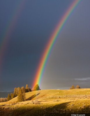 Another Double Rainbow