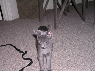 Dylan playing with string.JPG