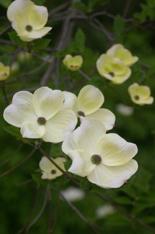 IMGP0417.jpg