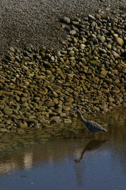 IMGP0587.jpg