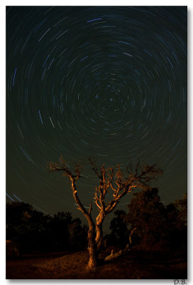 Star Trail over the Canyonlands