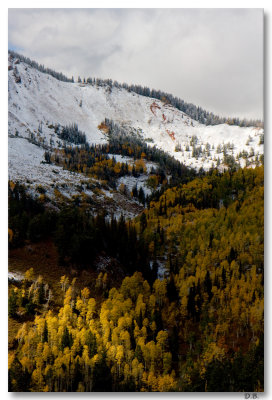 Early Snow on Mt Nebo 11-7-8