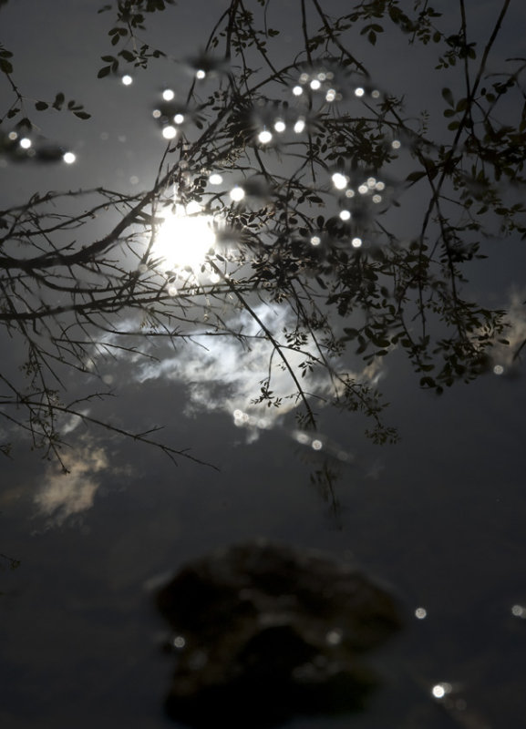 Late afternoon at the river