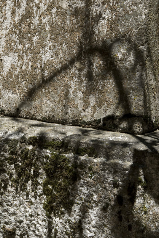 Yosemite cemetery