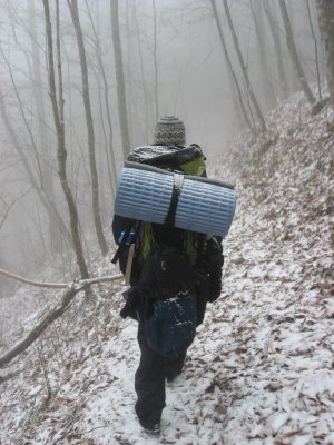 Smokey Mtn. Nat'l Park, MLK Weekend 2009