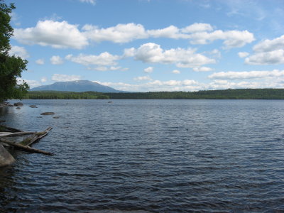 g1/77/563377/3/114045224.U74q68bc.jpg