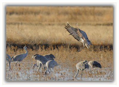 _D300621 wf.jpg