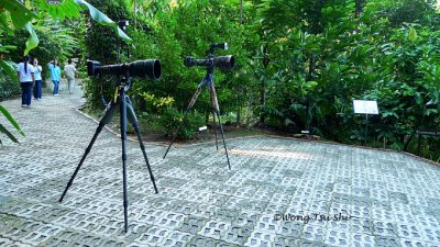 g1/77/579877/3/109380045.d1Z3wyCw.jpg