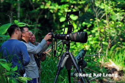 Peter Kan, wong Tsu Shi and Ku Kok On reviewing bird image