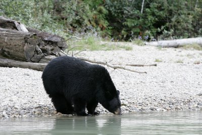 Canada 2009