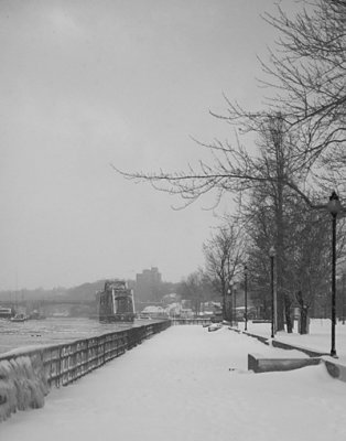 g1/77/588477/3/107282204.LUiQVx9b.jpg