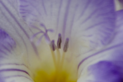 g1/77/588477/3/110173568.OiytwHt7.jpg