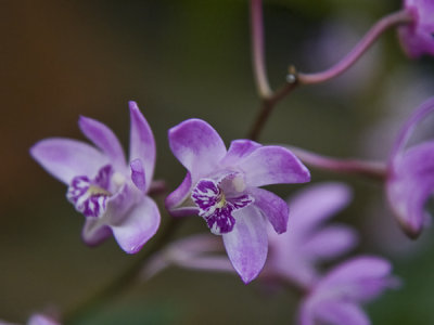g1/77/588477/3/110173577.iLF6H9HN.jpg
