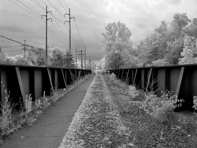 September 2009