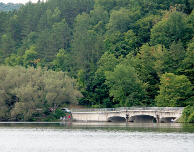 Allegany New York State Park