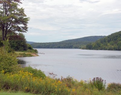 Allegany New York State Park