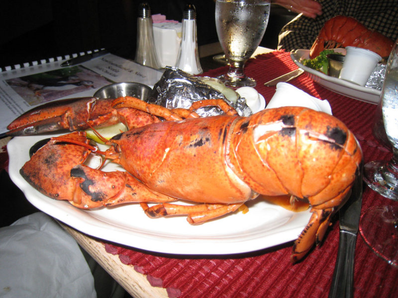 IMG_1739_2.jpg