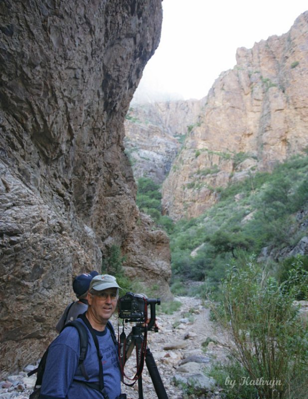 BB-Window Trail-2.jpg
