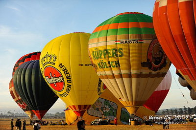 14th Hot Air Balloon Festival (2009)