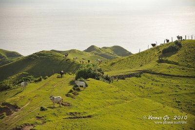 Vayang Rolling Hills D700_09521 copy.jpg