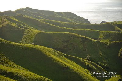 Vayang Rolling Hills D700_09539 copy.jpg