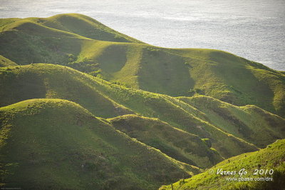 Vayang Rolling Hills D700_09553 copy.jpg