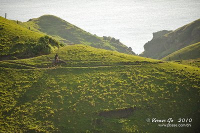 Vayang Rolling Hills D700_09558 copy.jpg