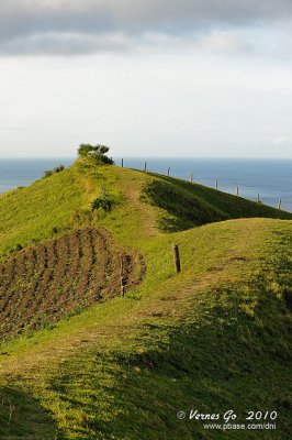Vayang Rolling Hills D700_09591 copy.jpg