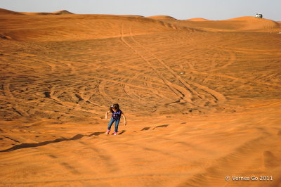 Desert Safari D700_16600 copy.jpg