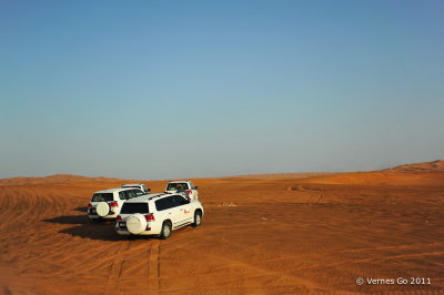 Desert Safari D700_16613 copy.jpg