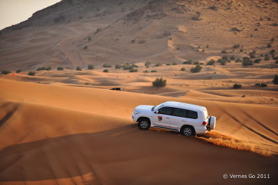 Desert Safari D700_16663 copy.jpg