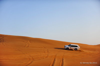 Desert Safari D700_16671 copy.jpg