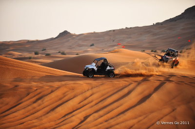 Desert Safari D700_16674 copy.jpg