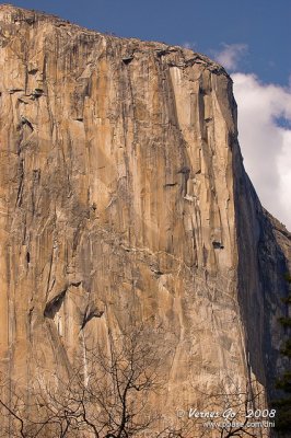 El Capitan DSCb_03388 copy.jpg