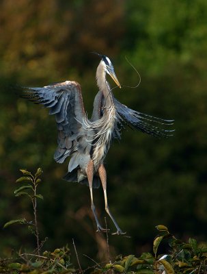 Touching down