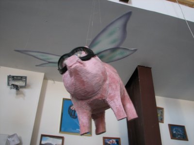 My inspiration -- if he can fly, so can I ...