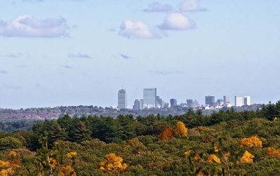 Autumn Scenes