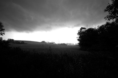 wcfieldstorm.jpg