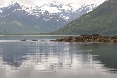 Seal  At Rest