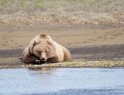 Resting by the river